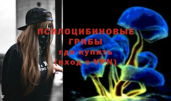 мескалин Алексин