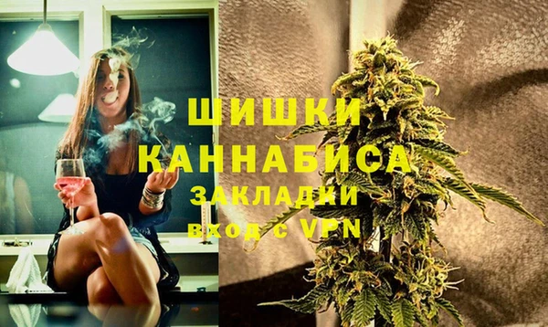 винт Алзамай