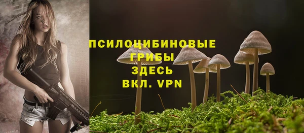 винт Алзамай